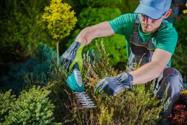 landscaping services Greenhills